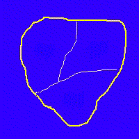 Position