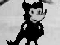 Mister Fox