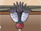 Pigeon's Revenge