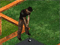 Putt It In